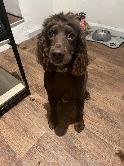 Grooming Van Image