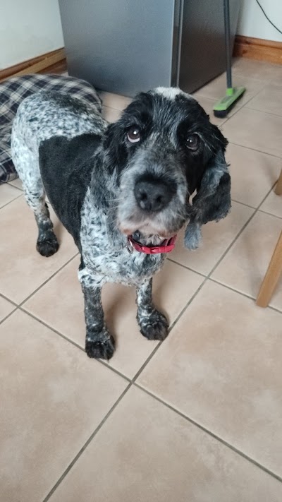 Grooming Van Image