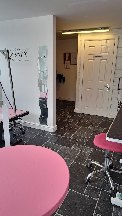 Grooming Van Image