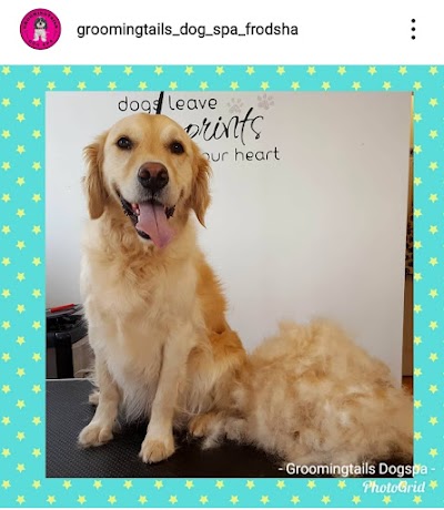 Grooming Van Image