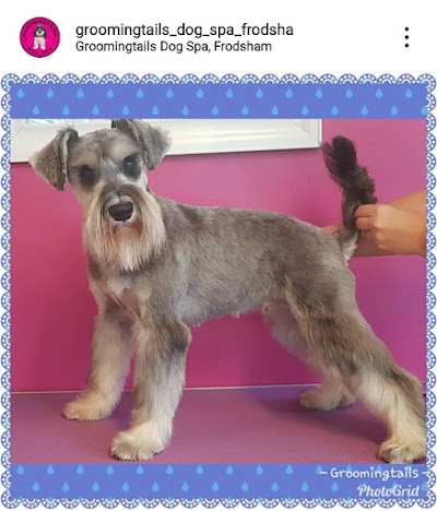 Grooming Van Image