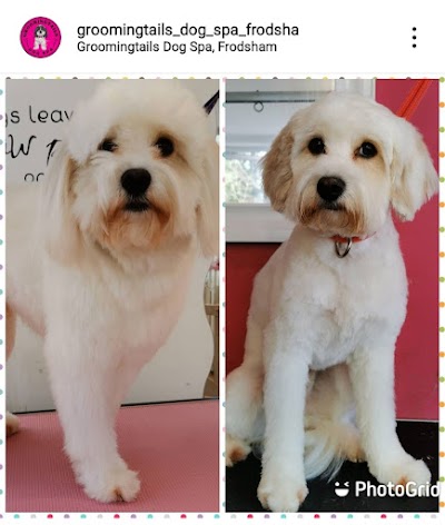 Grooming Van Image