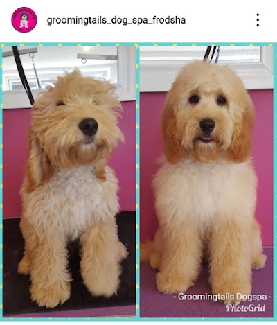 Grooming Van Image