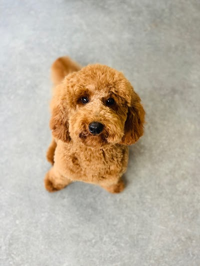 Grooming Van Image