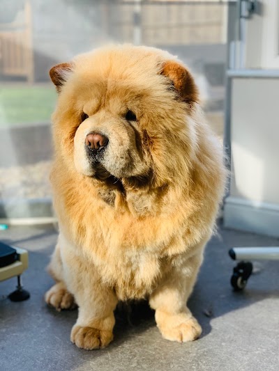 Grooming Van Image