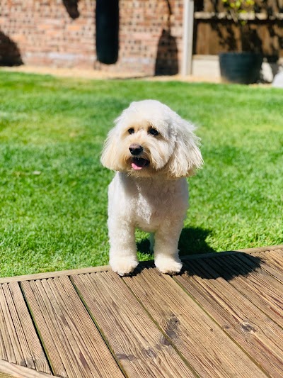 Grooming Van Image