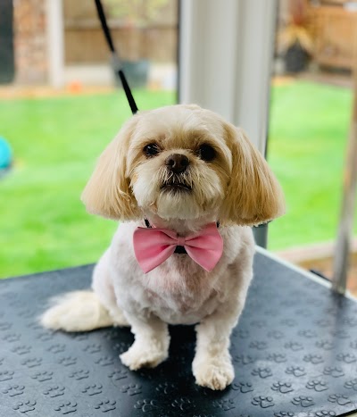 Grooming Van Image