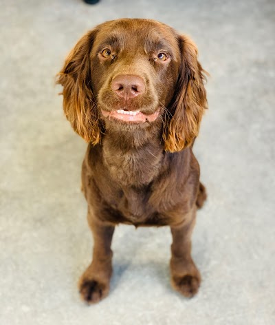 Grooming Van Image