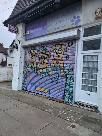 Grooming Van Image