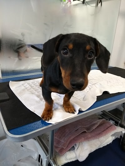 Grooming Van Image