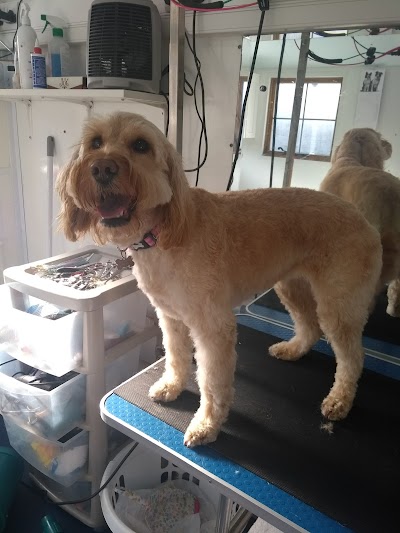 Grooming Van Image