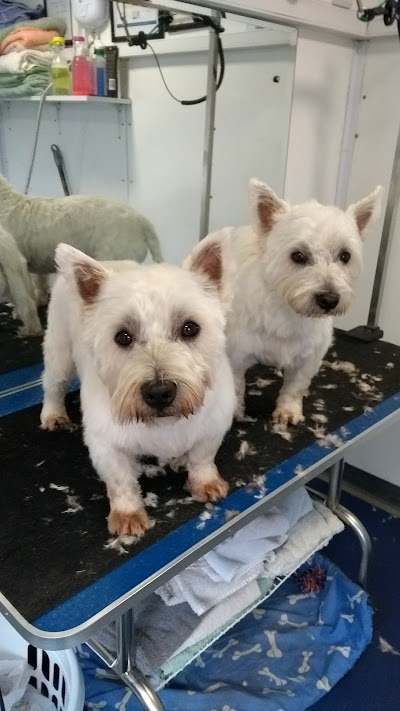 Grooming Van Image