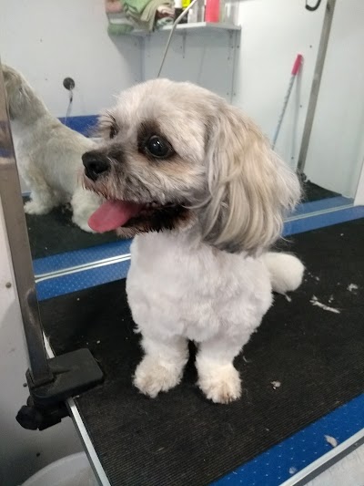 Grooming Van Image