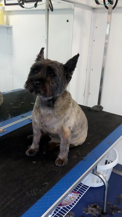 Grooming Van Image