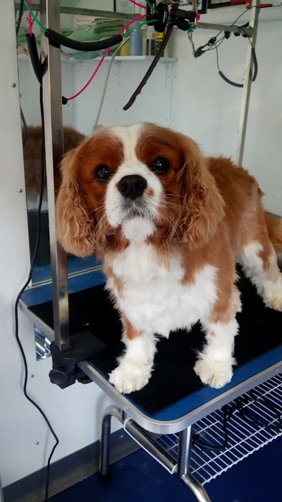 Grooming Van Image