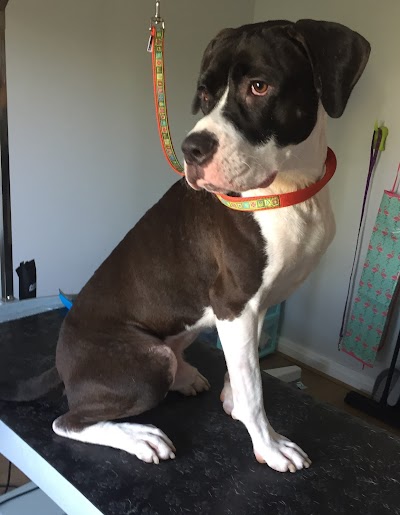 Grooming Van Image