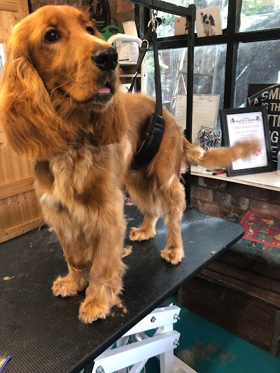 Grooming Van Image