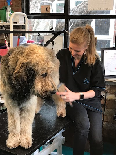 Grooming Van Image
