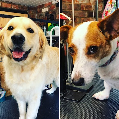 Grooming Van Image