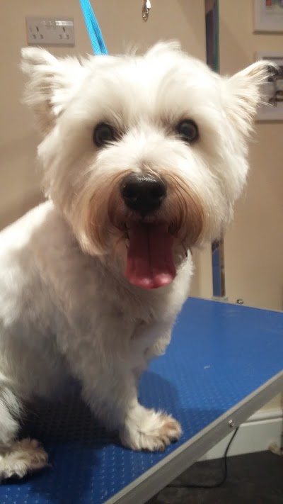 Grooming Van Image