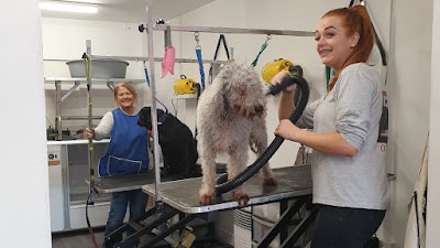 Grooming Van Image