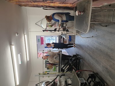 Grooming Van Image