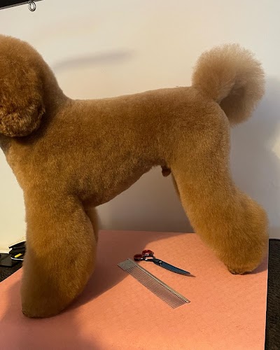 Grooming Van Image
