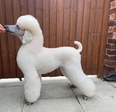 Grooming Van Image