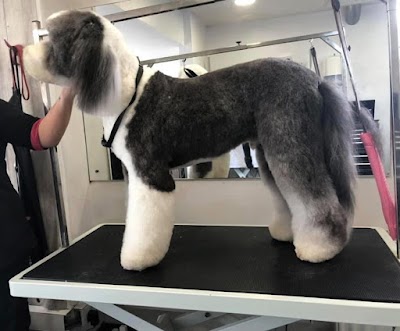 Grooming Van Image