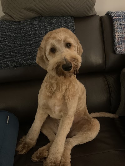 Grooming Van Image