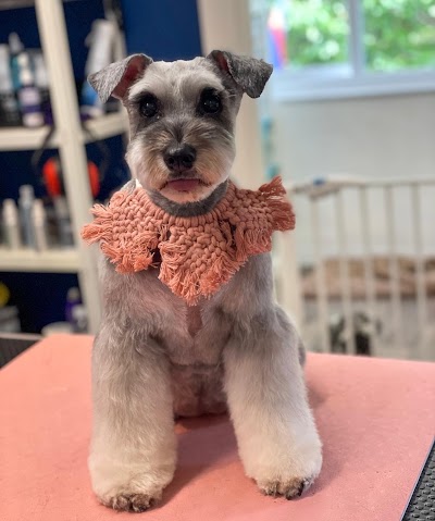 Jax&Co Professional Dog Grooming