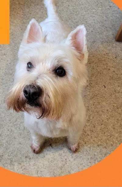 Grooming Van Image