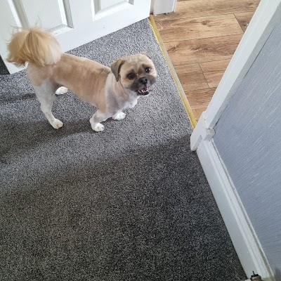 Grooming Van Image