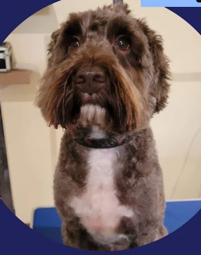 Grooming Van Image