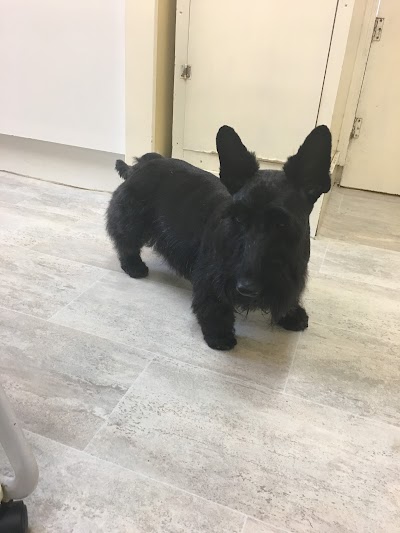 Grooming Van Image