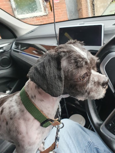 Grooming Van Image