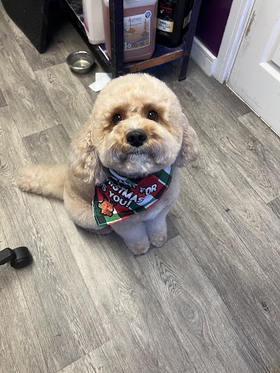 Grooming Van Image
