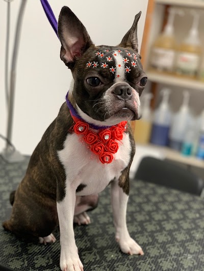 Grooming Van Image