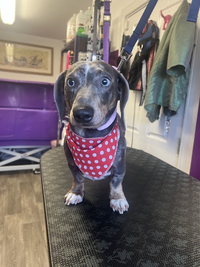 Grooming Van Image