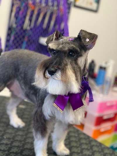 Grooming Van Image