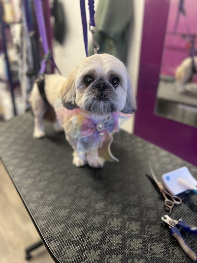 Karine’s Dog Grooming