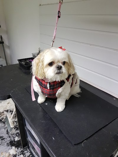 Grooming Van Image