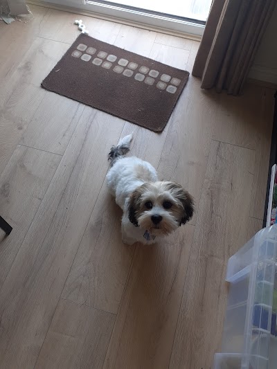 Grooming Van Image