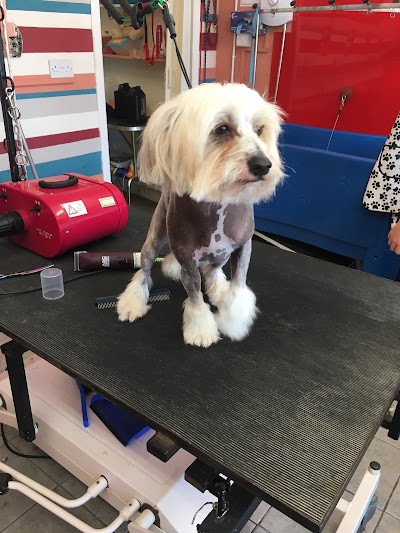 Grooming Van Image