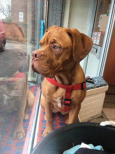 Grooming Van Image