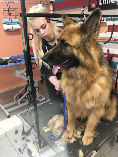 Grooming Van Image