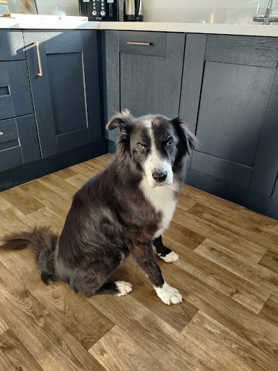 Grooming Van Image