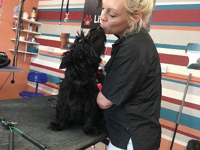 Grooming Van Image