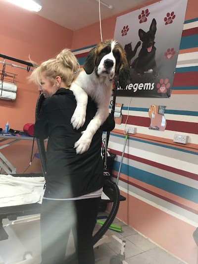 Littlegems Canine Care & Grooming