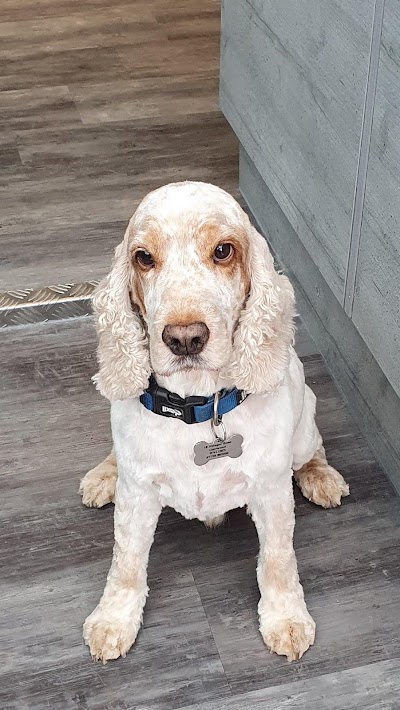 Grooming Van Image